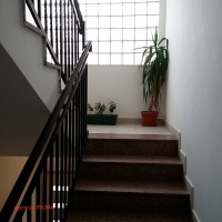IMG_3815