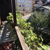 IMG_0761
