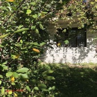 IMG_0766