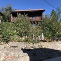 IMG_0769