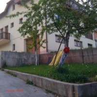 image_6483441 (25)