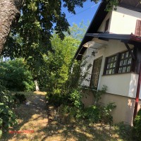 image_50447873