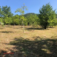 image_50448641 (2)