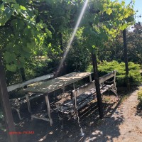 image_50729217