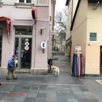 IMG_1050