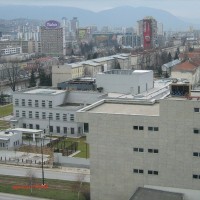 IMG_1408