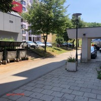 image_50451713