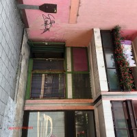 image_67210753