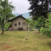image_50738177