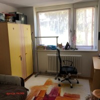 image_50412801