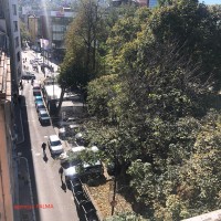 image_50728193