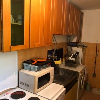 image_50432257