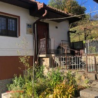 image_50753025